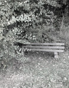 westerwald