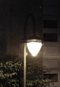 lif11