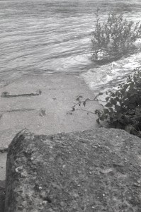 rhein