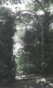 d40