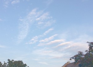 vha12
