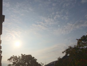 vha15