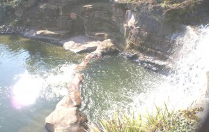 SONY DSC