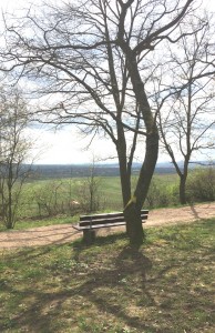 bingen